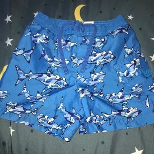 Sharky shark swimming trunks 2T